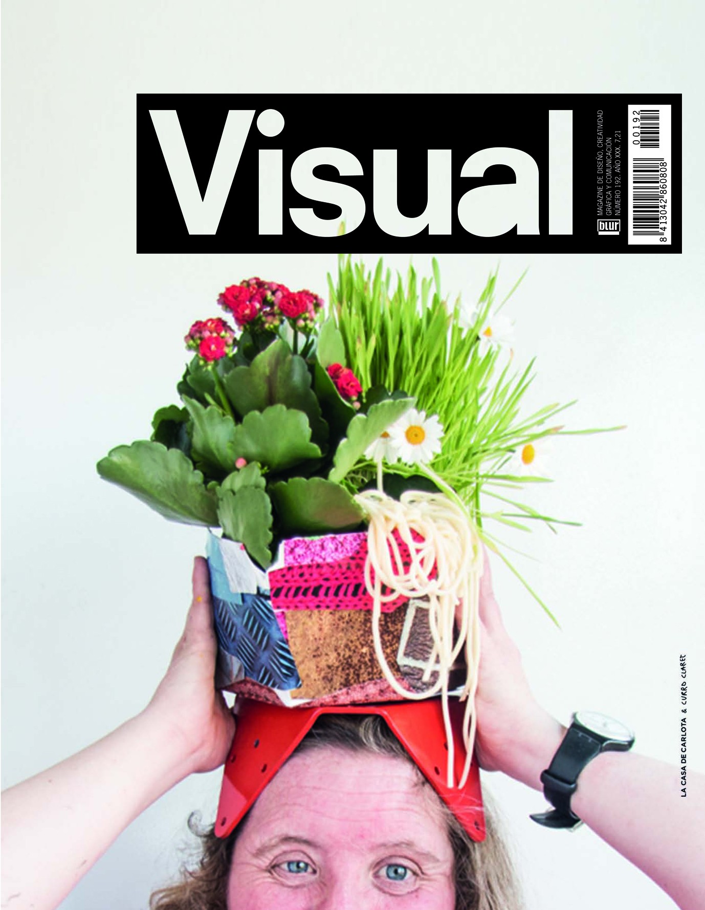 Resultat d'imatges de visual magazine 192