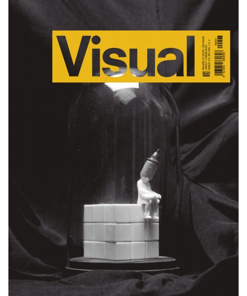 Visual Nº 203